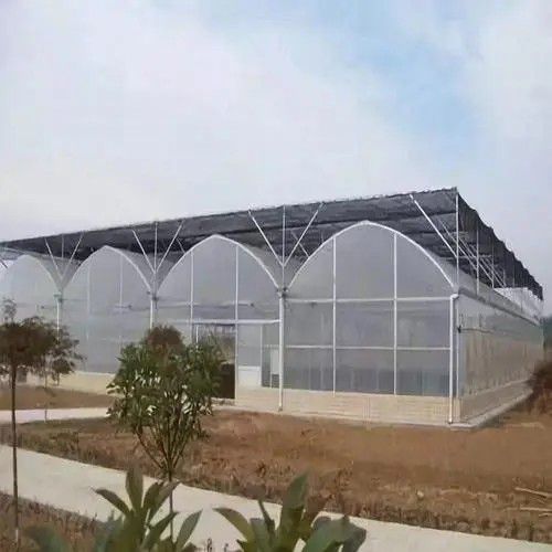 長寧連棟溫室大棚